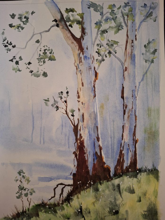 S1-221-4A *Watercolour for Beginners (Thursdays 6:30-9pm) 8 Weeks (March 27 - May 15)  Diane McEntee (Level 1)