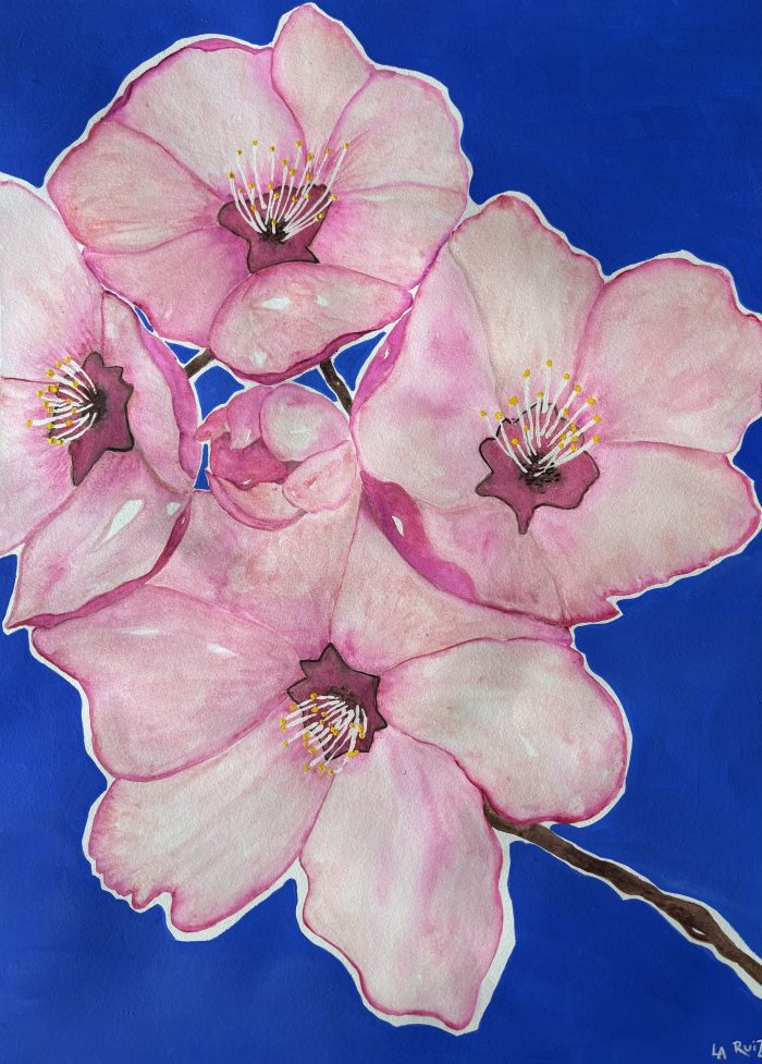 Nature Inspired Watercolour with Gouache (Laura Ruiz) beginner and up (Sat.April 5) 9:30am-12:30pm (Studio ONE) - Image 4