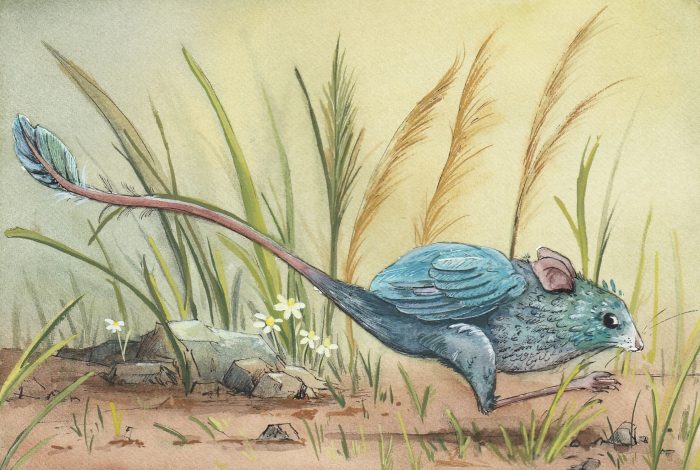 Unique Creatures (ink/watercolour) * TEENS and UP* Fridays (4-6 pm) Lindsay Pearson (Level 1 and up) 6 weeks (May 9 - June 20)