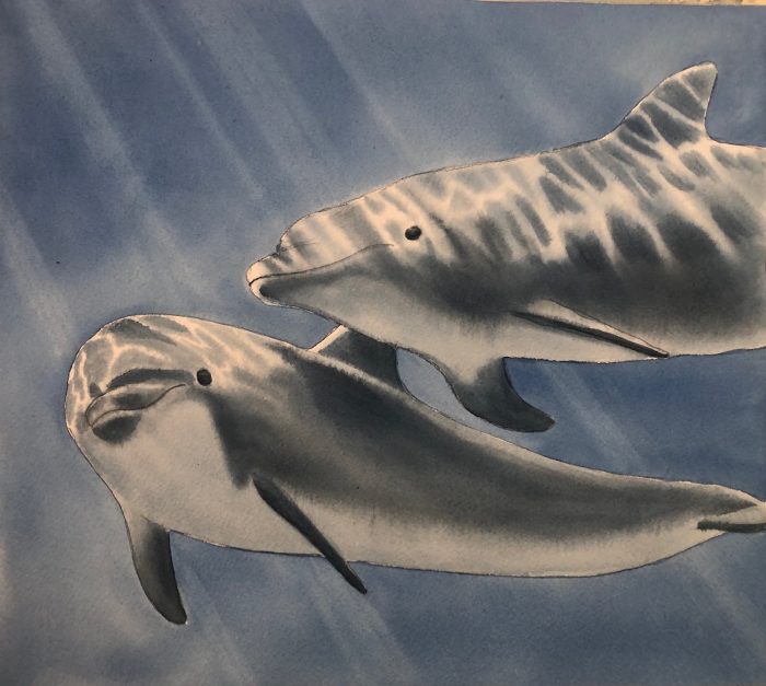 Waterscapes in Watercolour *SOLD OUT* (Mondays 9:30am-12:30pm) Shelley Prior (Level 1+/2) 6 weeks (Mar.24 - Apr.28) - Image 4