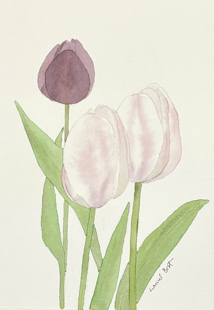 Birds and Blooms (watercolour) Thursdays (1-4 pm) Laurel Best (Level 1-2) March 27 - April 17 (4 weeks) - Image 3