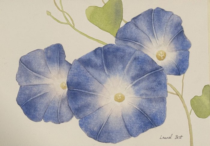 Birds and Blooms (watercolour) Thursdays (1-4 pm) Laurel Best (Level 1-2) March 27 - April 17 (4 weeks)
