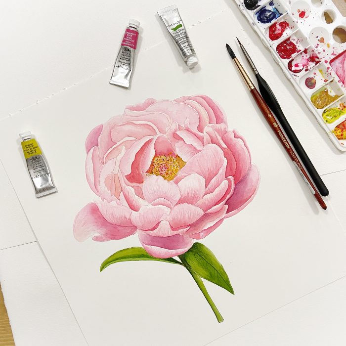 Bloom & Brush: Mastering Realistic Botanicals (watercolour) Wednesdays (1-4 pm) 6 weeks (April 9 - May 14) Disha Sharma (Level 1 and up) - Image 3