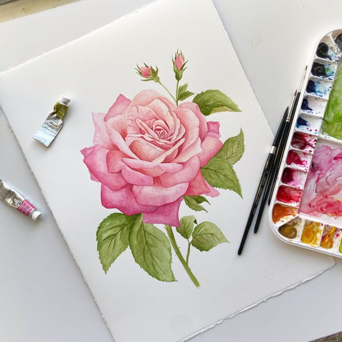 Bloom & Brush: Mastering Realistic Botanicals (watercolour) Wednesdays (1-4 pm) 6 weeks (April 9 - May 14) Disha Sharma (Level 1 and up) - Image 2