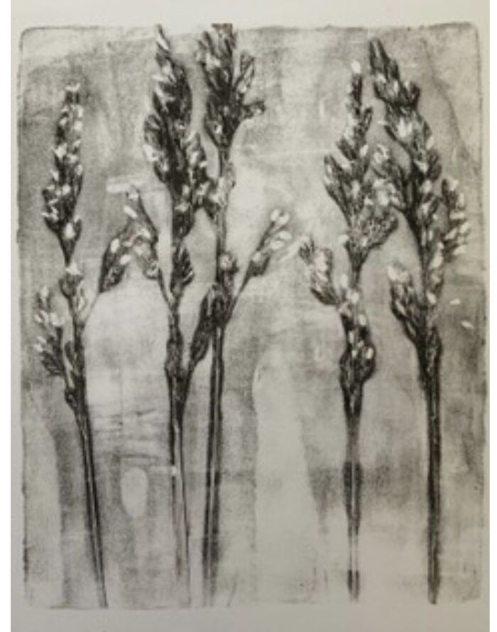 An introduction to Integrated printmaking (Thursdays 1-4 pm) Carolyn Hassard (Level 1-2) 4 weeks (Oct. 2-23) - Image 7