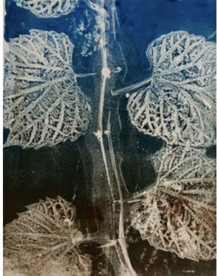An introduction to Integrated printmaking (Thursdays 1-4 pm) Carolyn Hassard (Level 1-2) 4 weeks (Oct. 2-23) - Image 10