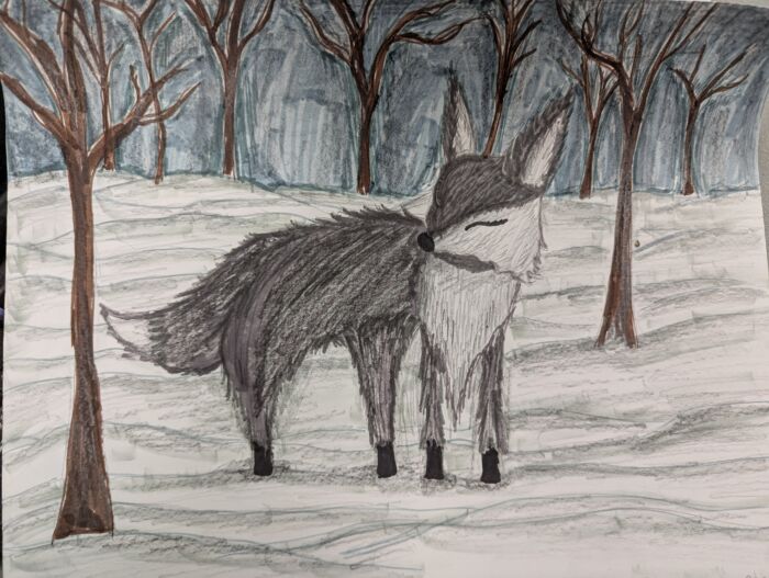 Drawing Extravaganza! (young artists) Saturdays 9:30-11 am (Julie Wurtele) * 8 WEEKS * (materials included) Oct. 18 - Dec. 13 (exhibition Dec. 20!)