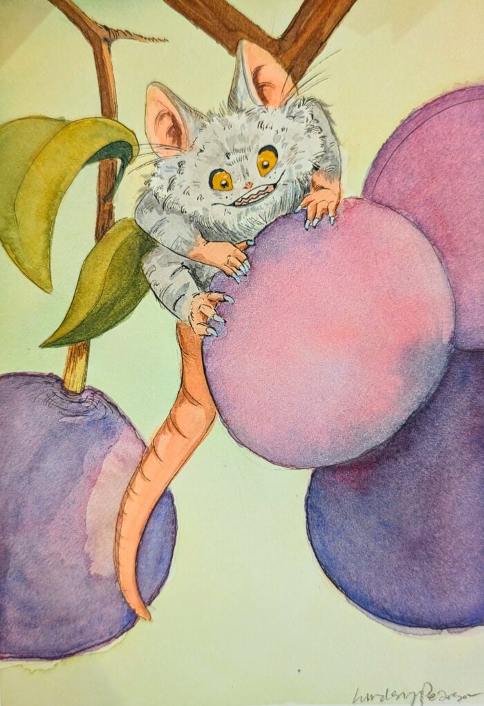 Fantasy Creatures (watercolour/ink) *LATE FALL* Fridays  (4-6 pm) Lindsay Pearson (Level 1 and up) 6 weeks (Nov.7-Dec.12) Young Adults