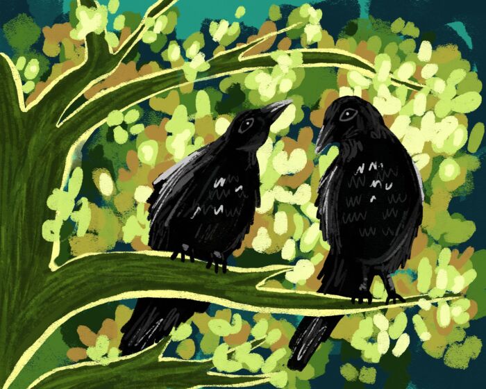 Friday Friends 'n Family PAINT NIGHT (Branching Out) Maia Lee-Thomas (Fri. Oct.3) 7-9:30 pm *Materials Included*