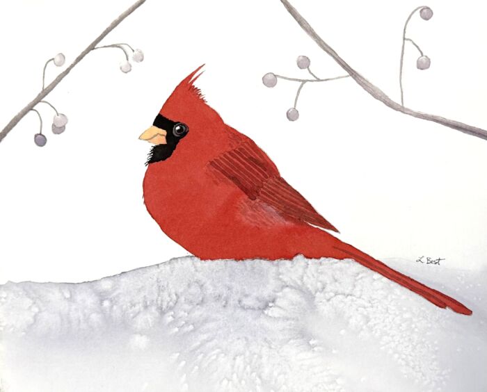 Feathered Friends (watercolour) Wednesday afternoons (1-4 pm) Laurel Best (Level 1+/2) Nov.5-26 (4 weeks) - Image 2