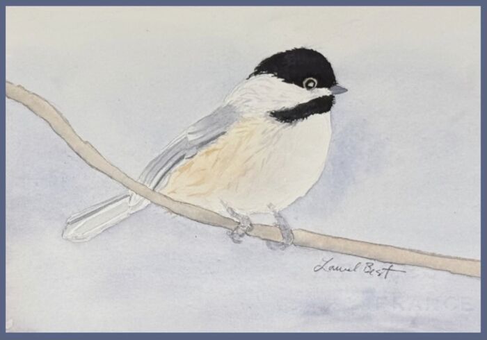 *LATE FALL* Feathered Friends *SOLD OUT* (watercolour) Wednesday afternoons (1-4 pm) Laurel Best (Level 1+/2) Nov.5-26 (4 weeks)