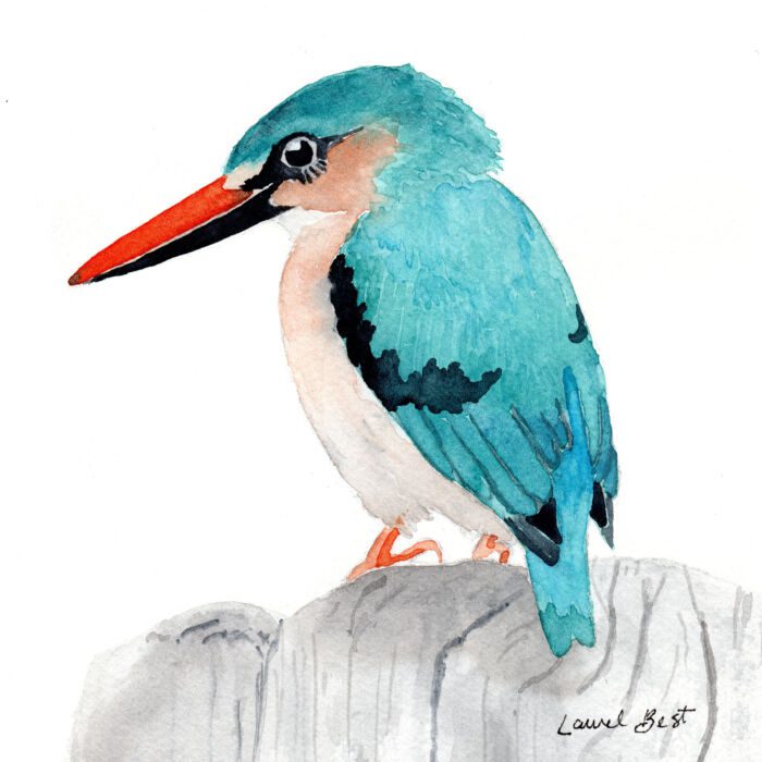 Feathered Friends (watercolour) Wednesday afternoons (1-4 pm) Laurel Best (Level 1+/2) Nov.5-26 (4 weeks)