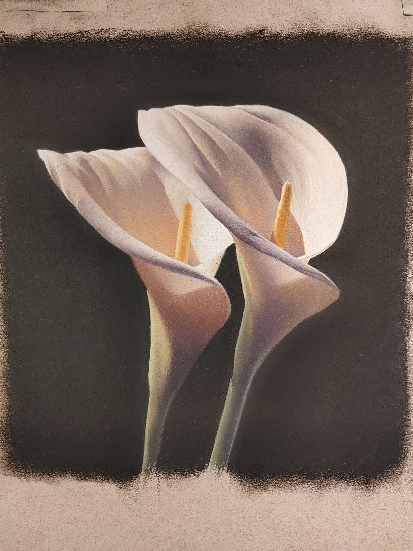 *WINTER* Pastels for Beginners with Greg Douglas (Wednesday mornings) 9:30am - 12:30pm (Level 1) 8 weeks (Jan.7-Feb.25)