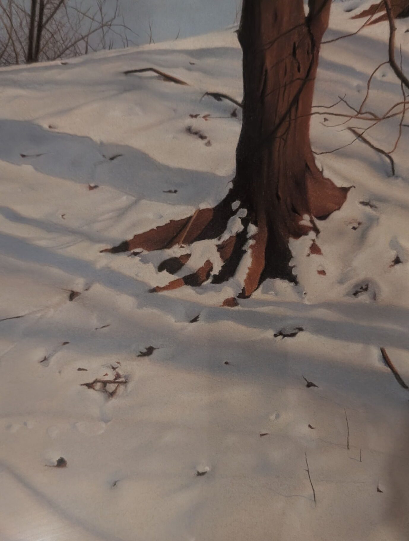 *WINTER* Pastels for Beginners with Greg Douglas (Wednesday mornings) 9:30am - 12:30pm (Level 1) 8 weeks (Jan.7-Feb.25) - Image 2