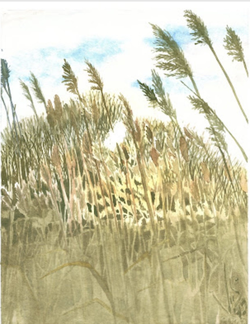 *WINTER* Beginner Watercolour with David Foster  (8 weeks) Tuesday EVE (6-9 pm) Level 1 (Jan.6-Feb.24) - Image 11