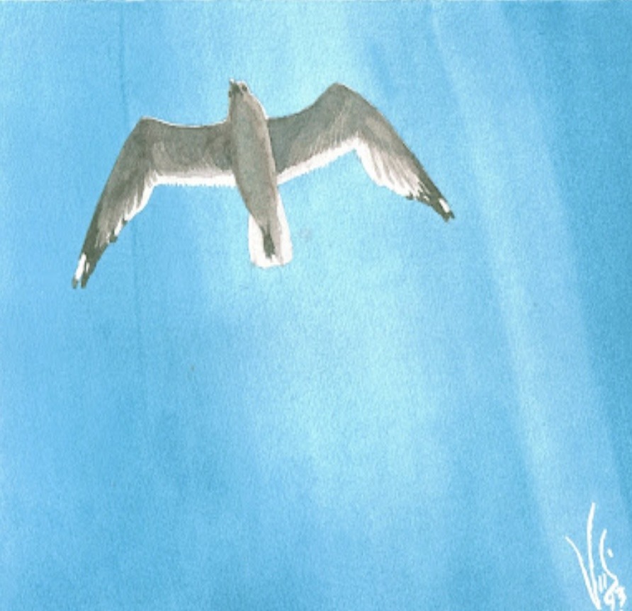 *WINTER* Beginner Watercolour with David Foster  (8 weeks) Tuesday EVE (6-9 pm) Level 1 (Jan.6-Feb.24) - Image 3