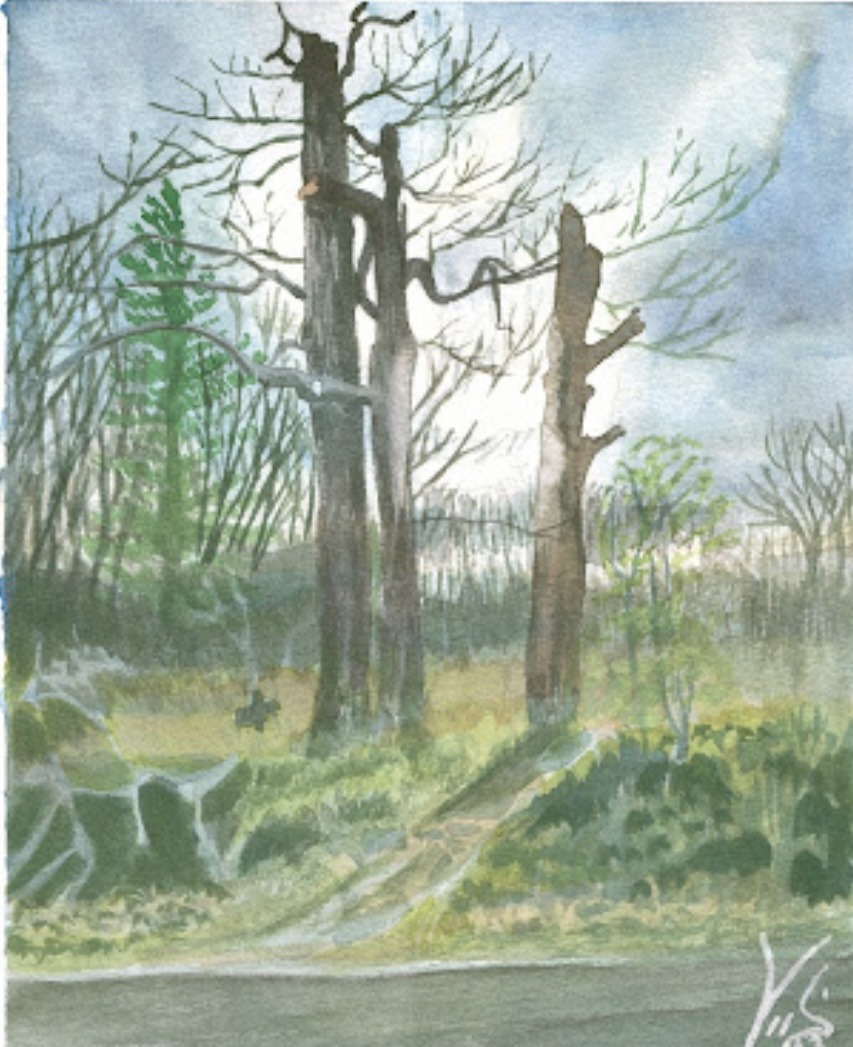 *WINTER* Beginner Watercolour with David Foster  (8 weeks) Tuesday EVE (6-9 pm) Level 1 (Jan.6-Feb.24) - Image 7