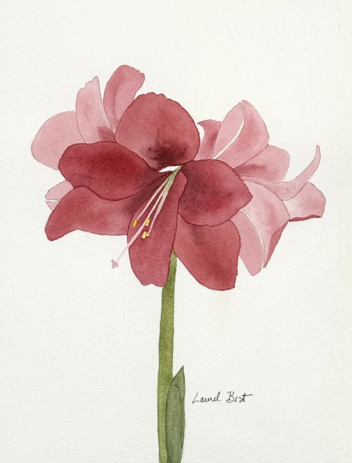 *WINTER* Florals with Laurel Best (watercolour) Friday afternoons (1:30-4:30 pm) Jan.9-26 (4 Weeks) Level 1+/2