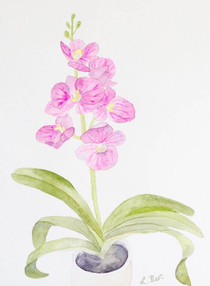 *WINTER* Florals with Laurel Best (watercolour) Friday afternoons (1:30-4:30 pm) Jan.9-26 (4 Weeks) Level 1+/2