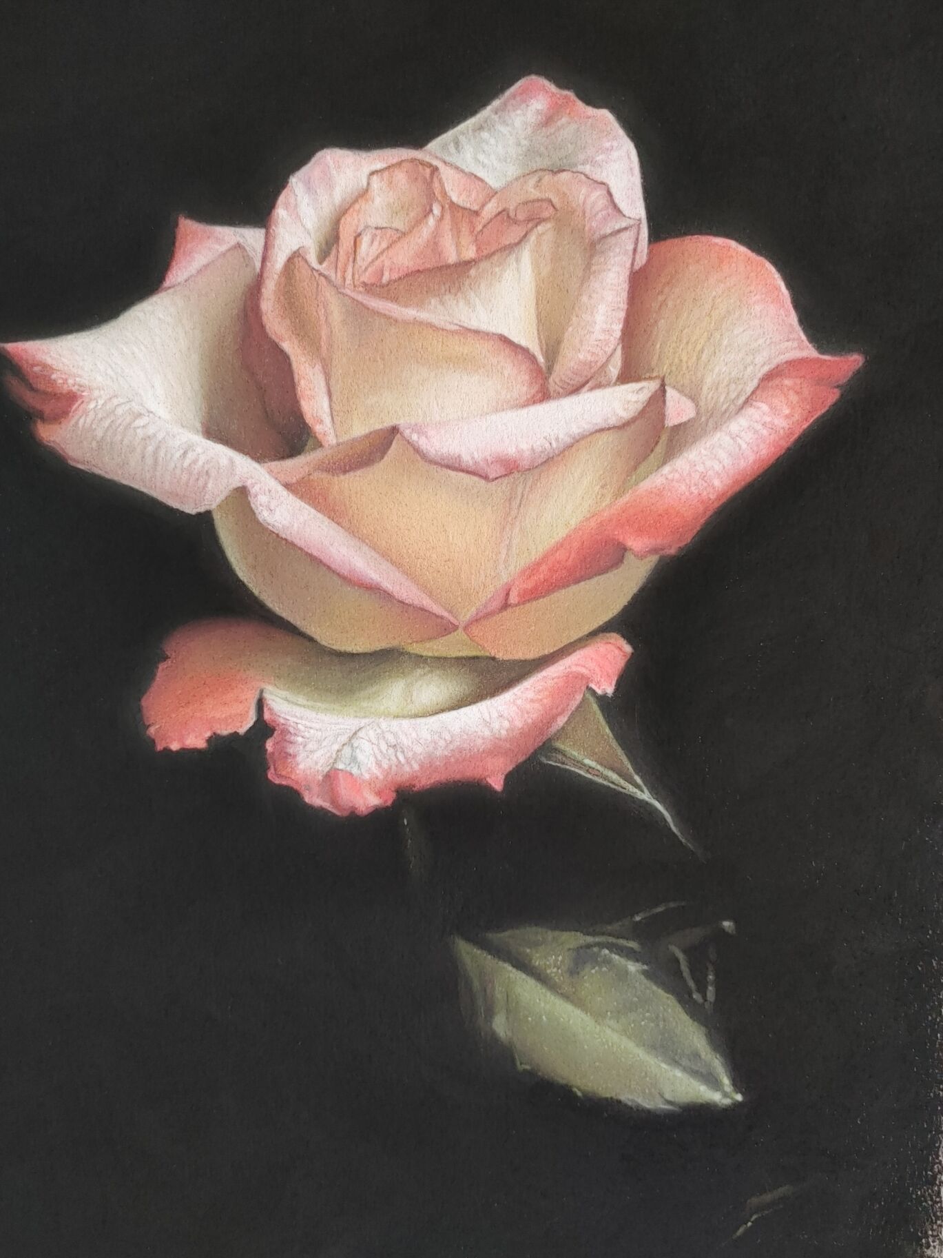 *WINTER* Pastels for Beginners with Greg Douglas (Wednesday mornings) 9:30am - 12:30pm (Level 1) 8 weeks (Jan.7-Feb.25) - Image 3