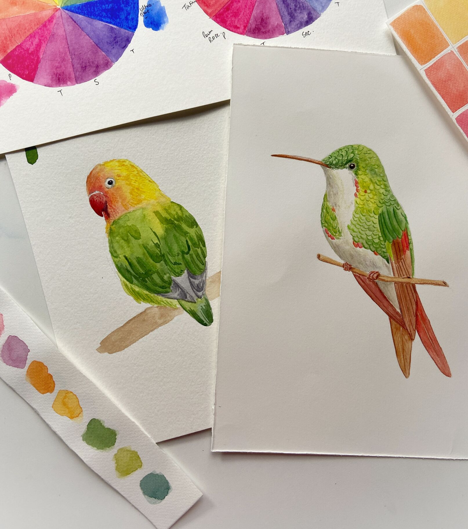 Birds in Bloom (watercolour + coloured pencil) Disha Sharma (Level One / beginner and up) Sun. Feb. 22 (1-4 pm) *ALL Ages*