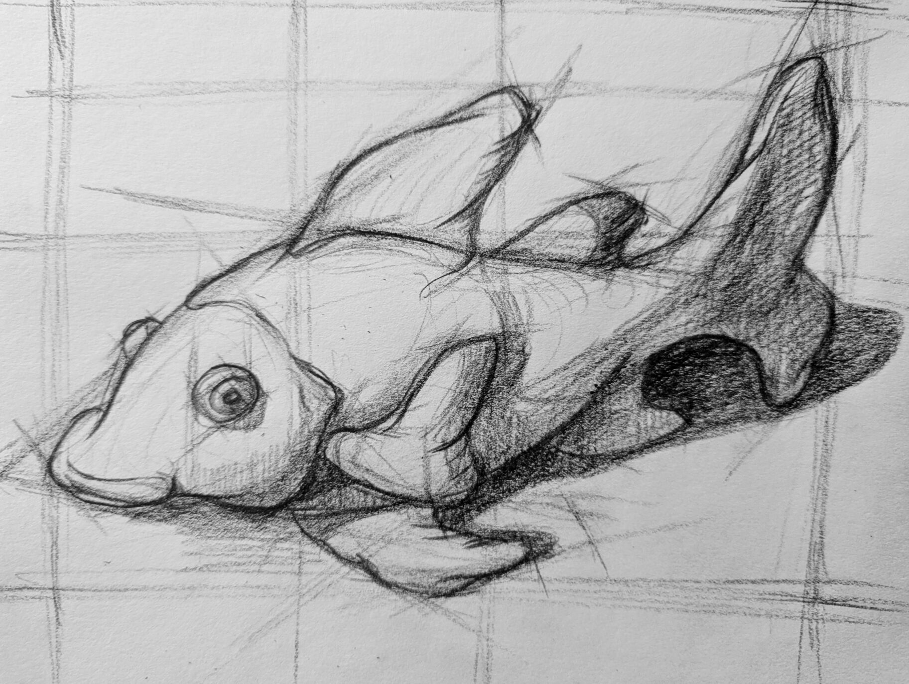 *JULY* Introduction to Drawing (pencil) with Jorgen Lauritzen (Thursday evenings) 6:30-9:30 pm (July 2, 9, 16, 23) Level 1 / beginner - Image 3