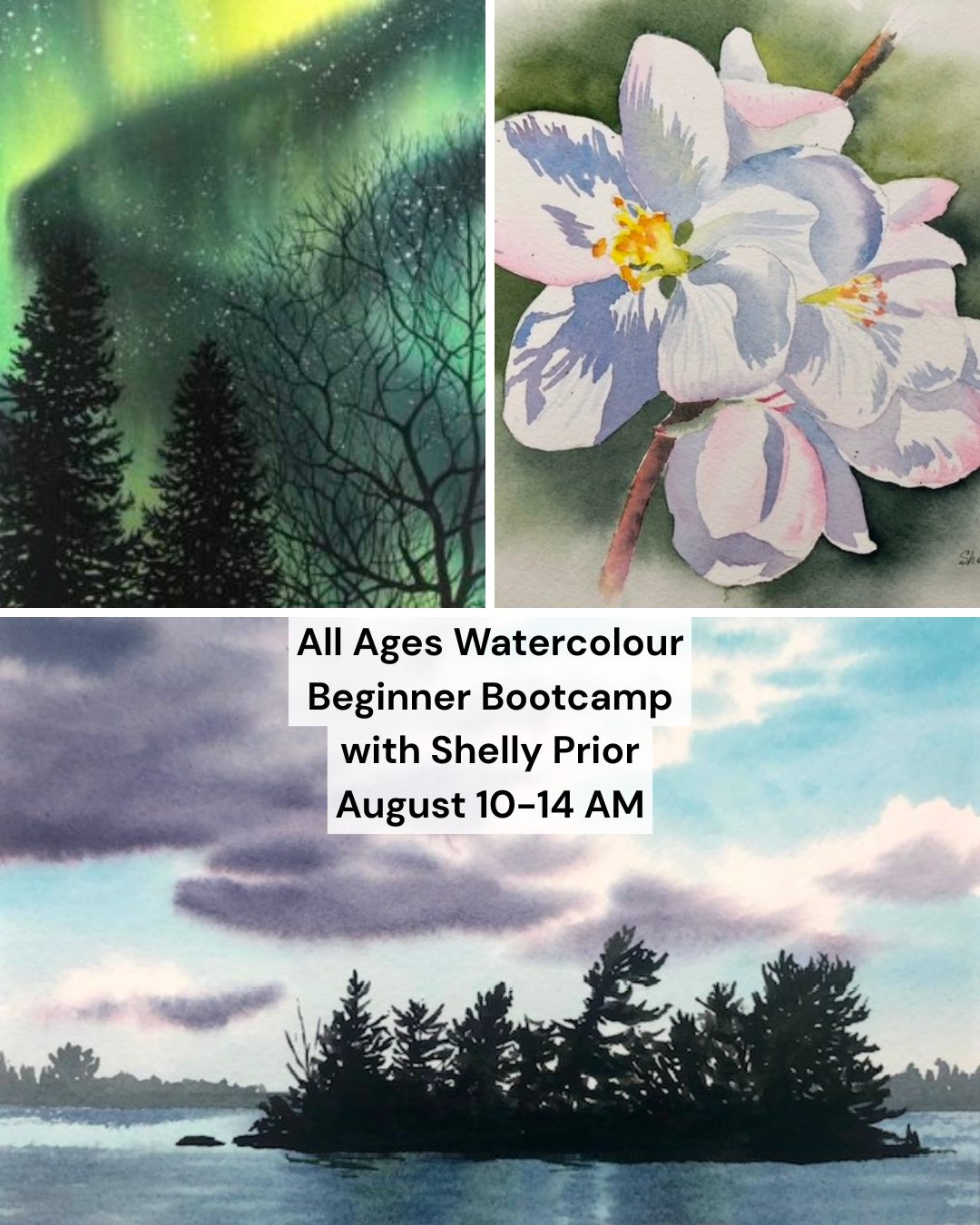 SOLD OUT - email to join waitlist *AUG 10-14 AM All Ages *Watercolour (Beginner) Bootcamp with Shelley Prior *5 mornings* 9:30am-12:30pm