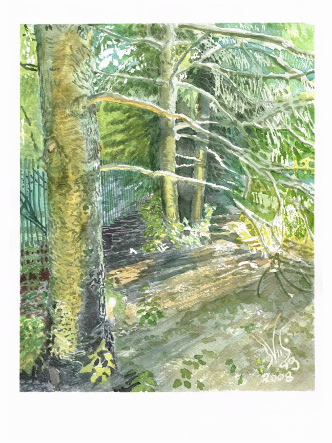 *FALL* Just Beyond Beginner (Watercolour) David Foster (8 weeks) Thursdays EVE (6:30-9:30 pm) Sept.10 - Oct.29 (level 1+) Studio ONE - Image 4
