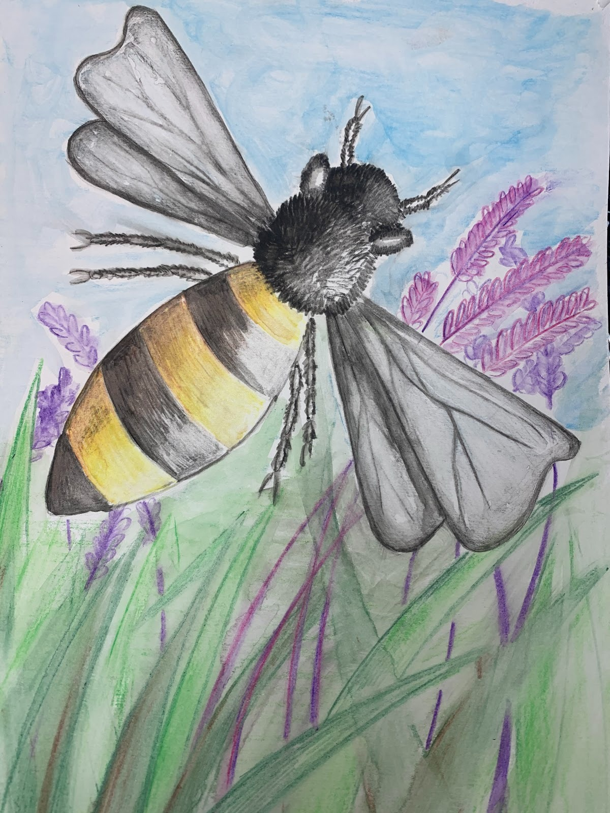 *FALL* Fun & Funky Drawing -- a Creative Drawing Adventure (Saturdays 9:30-11am) Julie Wurtele *8 WEEKS* (professional grade materials included) Sept. 12-Nov. 7 (Studio TWO) - Image 4