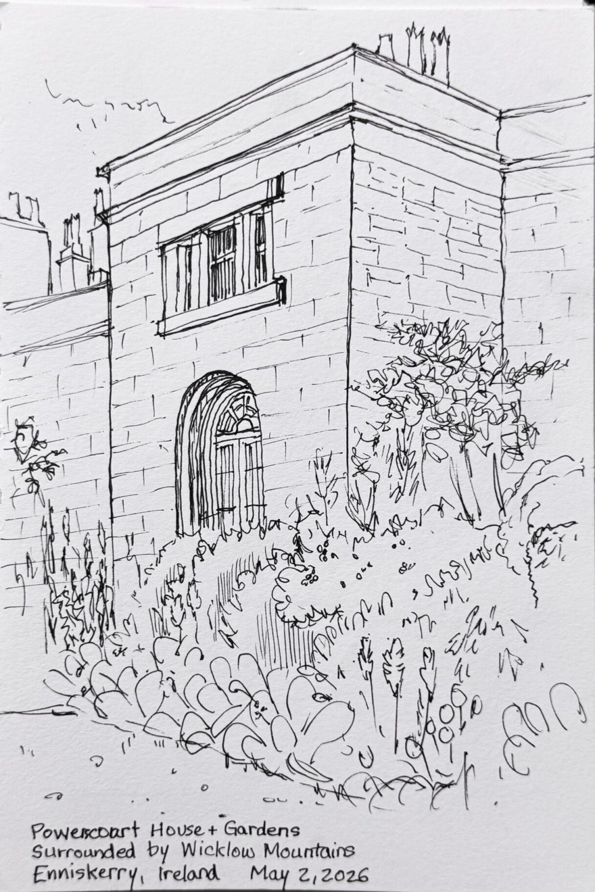 *Late FAll* Drawing for Painters with Shelley Prior (all mediums / all levels) Monday mornings (9:30am-12:30pm) 5 weeks (Nov.9-Dec.7) Studio TWO